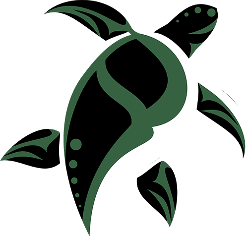 Rune Turtle Logo